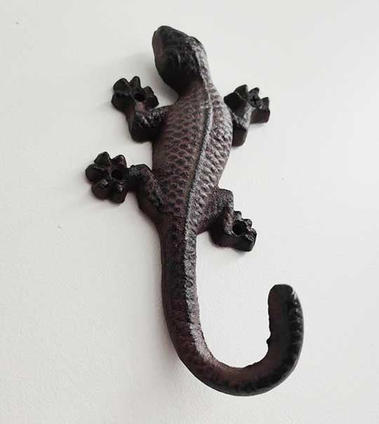 Lizard 18cm 2