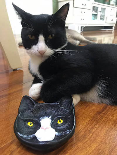 Cat Face 2