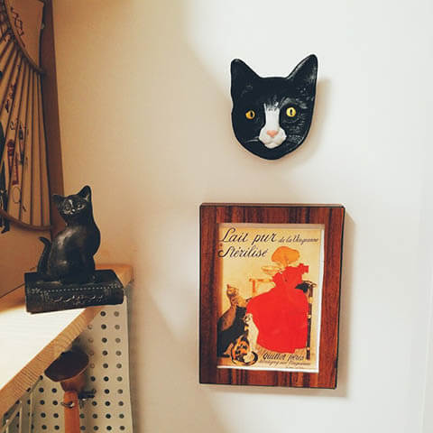 Cat Face 3