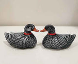 A Pair of Ducks 1