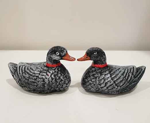 A Pair of Ducks 1
