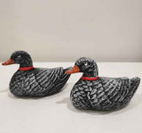 A Pair of Ducks 2