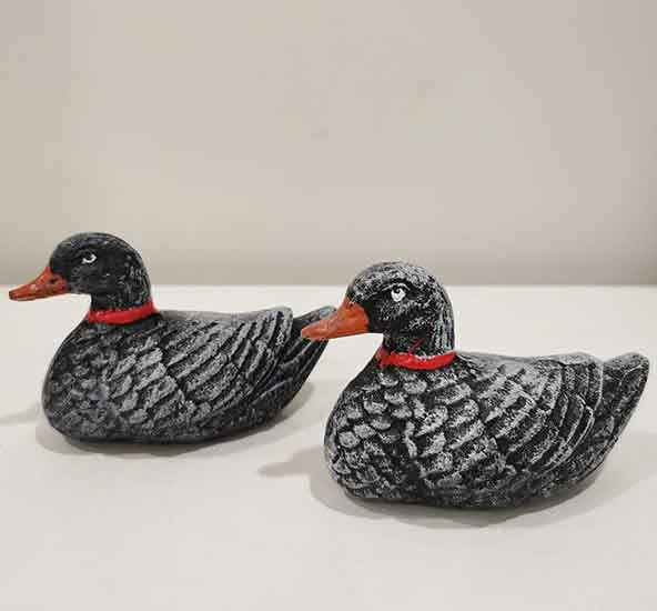 A Pair of Ducks 2