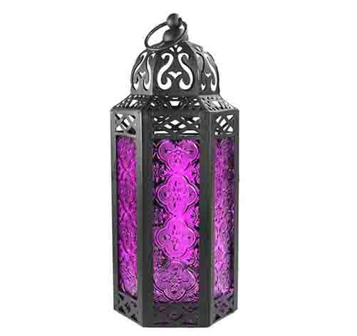 ML Purple 01