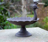 Peacock 01