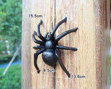 Spider-02