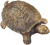 Turtle Gold 01